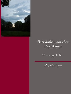 cover image of Botschaften zwischen den Welten